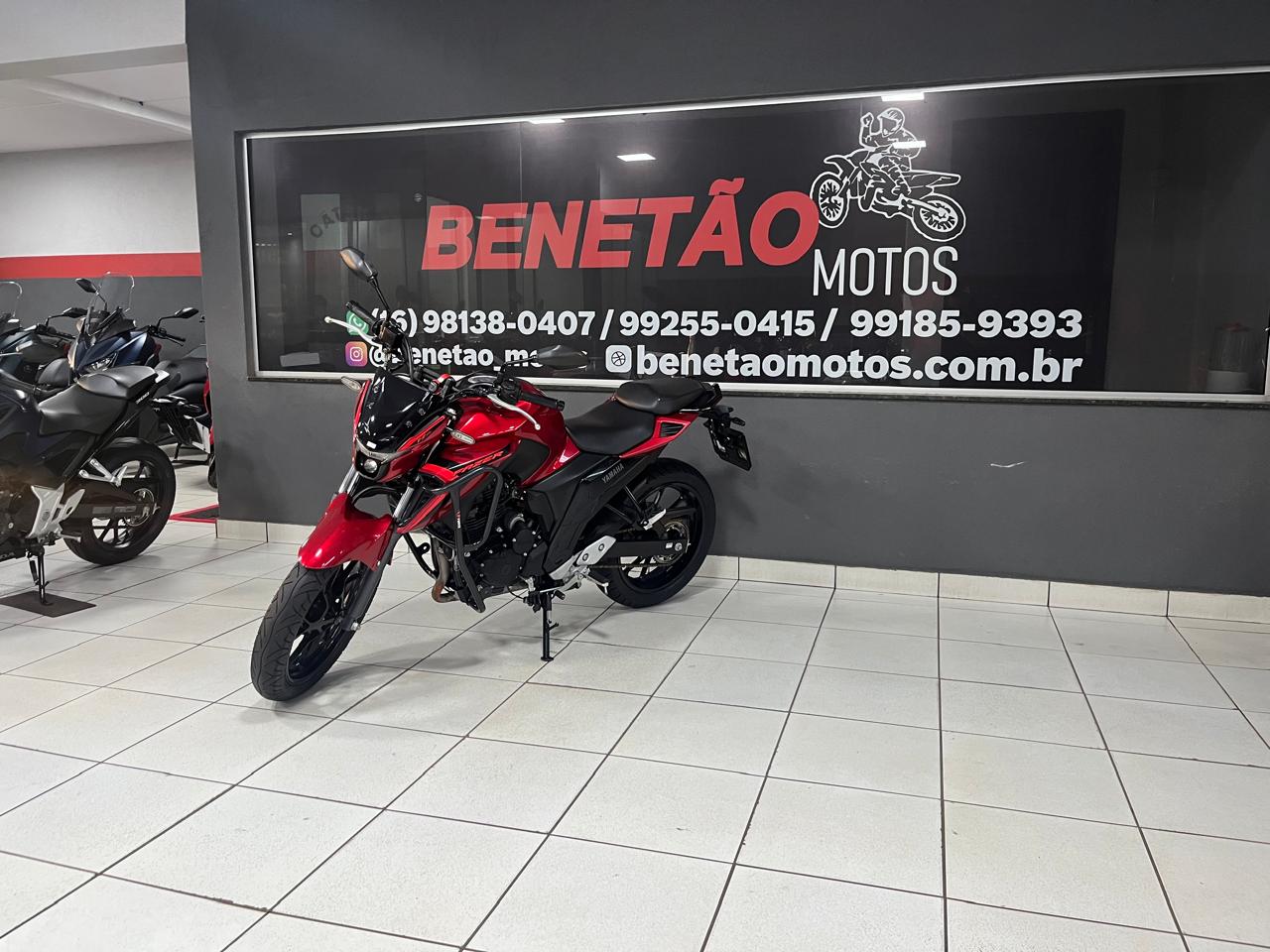 YAMAHA FZ250 ABS