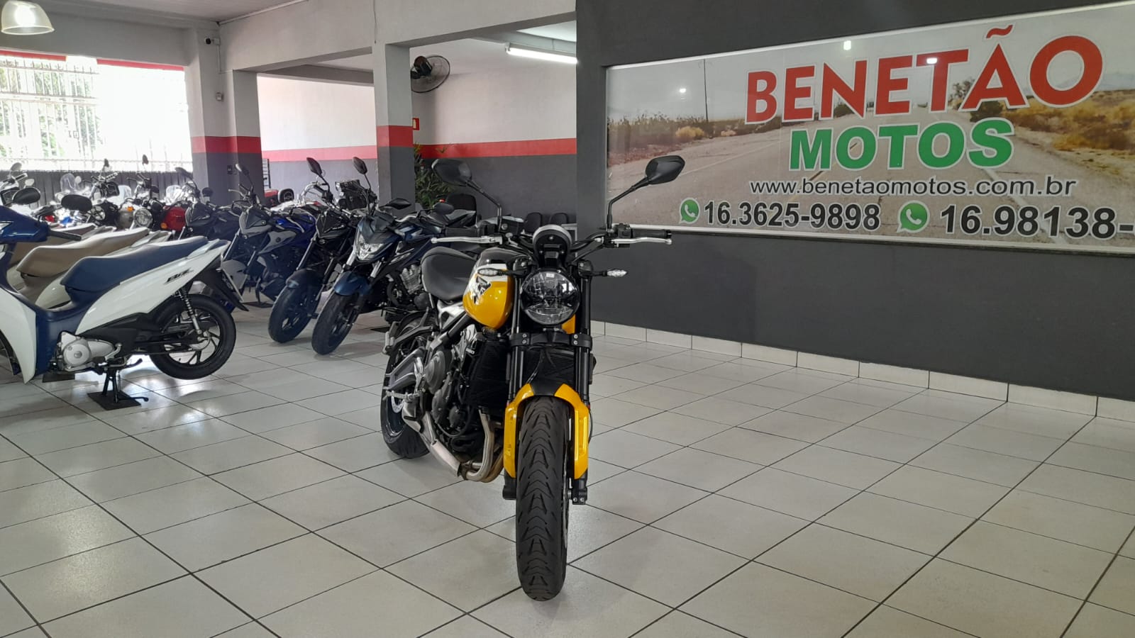 TRIUMPH TRIDENTE 660