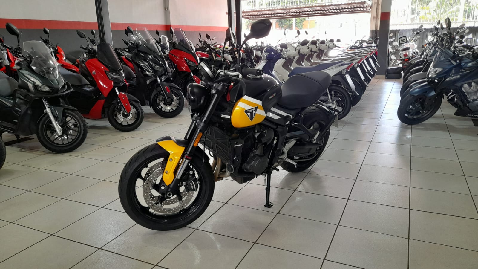 TRIUMPH TRIDENTE 660