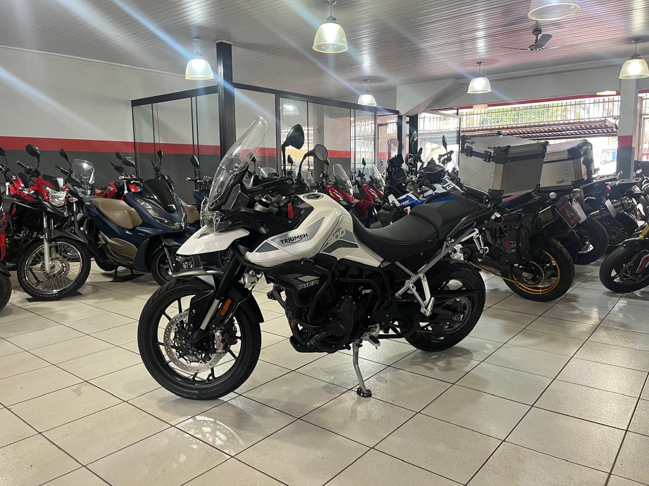 TRIUMPH TIGER 900 GT