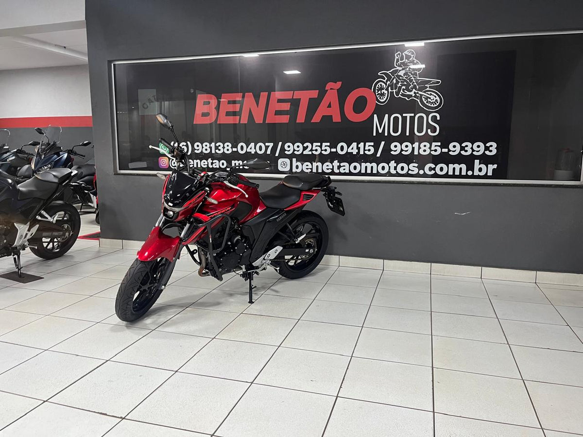YAMAHA FZ250 ABS